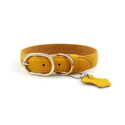Classic Leather Dog Collar with Hangtag